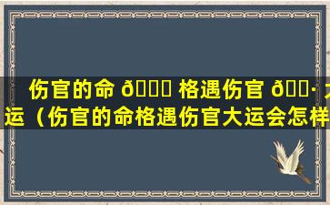 伤官的命 🐒 格遇伤官 🌷 大运（伤官的命格遇伤官大运会怎样）